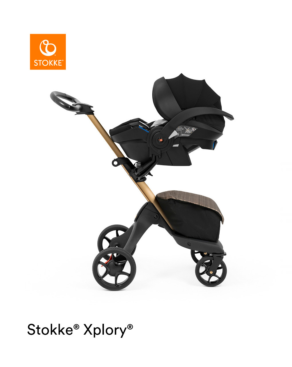 Silla modular xplory® x gold limited edition - stokke® - Stokke